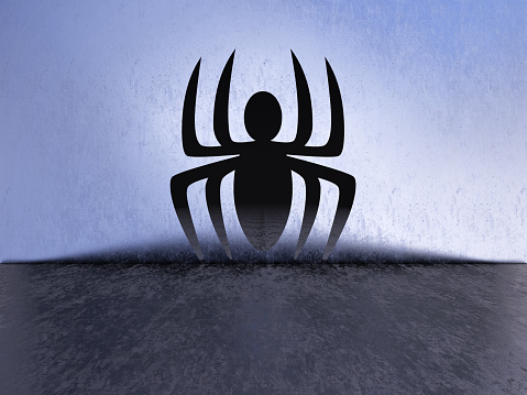 spider security Hacker attack and Virus of computer