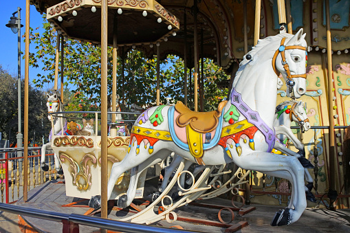 Ferris wheel carousel horse ride