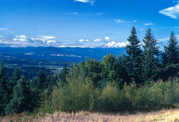 Oregon - Looking Toward Mt. Hood - 1983. Scanned from Kodachrome 64 slide.