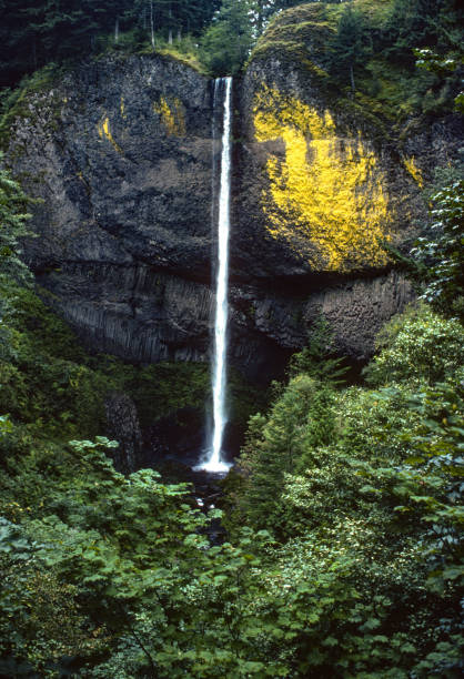 istock Columbia River Gorge NSA - Latourell Falls - 1983 1449244198