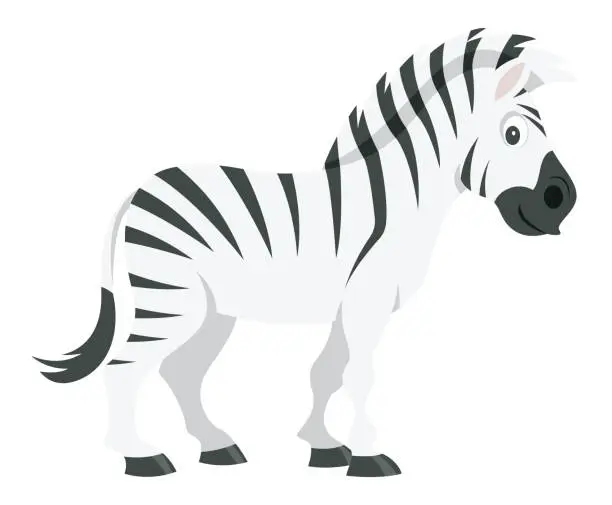 Vector illustration of Cute Zebra