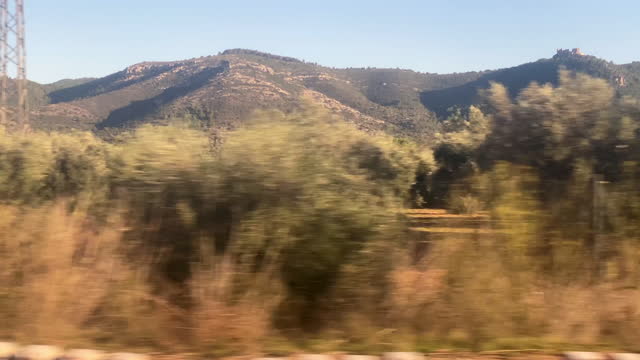 Landscape seen from train in motion