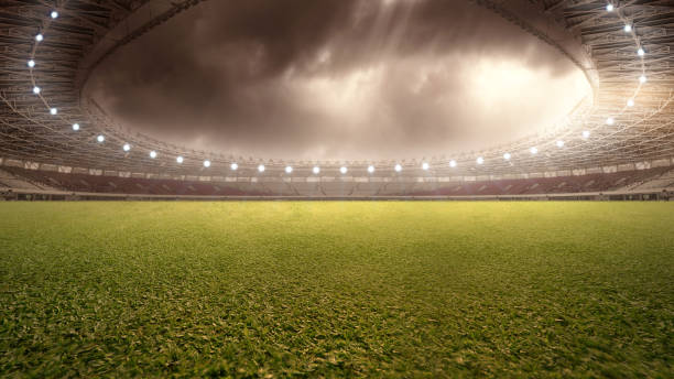 Grass Grass inside the football stadium inside of flash stock pictures, royalty-free photos & images