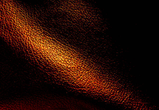 istock Leather texture for background. Rough animal skin for elegance wallpaper 1449250587