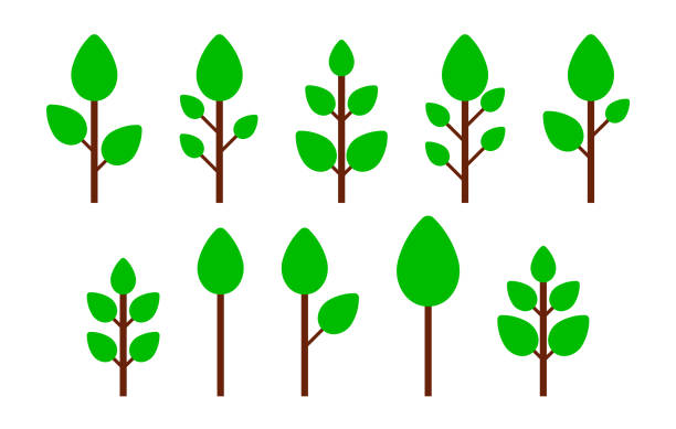 43 Grass Png Illustrations & Clip Art - iStock | Tall grass png 43 Grass Png Illustrations & Clip Art - iStock | Tall grass png