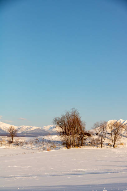 istock Snowy mountains and blue sky 1449259385