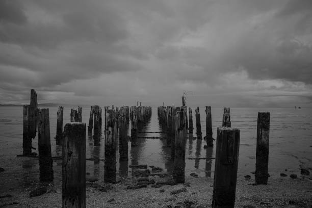istock a ruined wharf in the water 1449262237