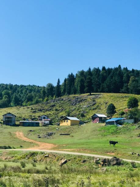 The house in Plateu