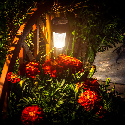 The garden lamp shines in a flower bed in a night garden.
