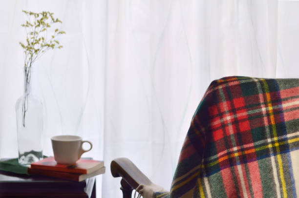 istock Image for Domestic Life in Winter 1449273879