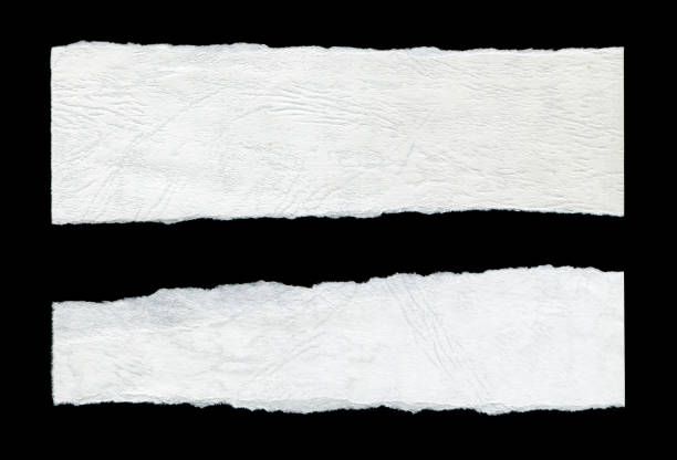 Blank white paper background isolated on white.