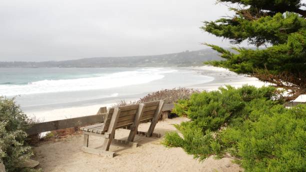 istock Empty wooden bench, rest on footpath trail. Ocean beach, California coast, trees 1449281818