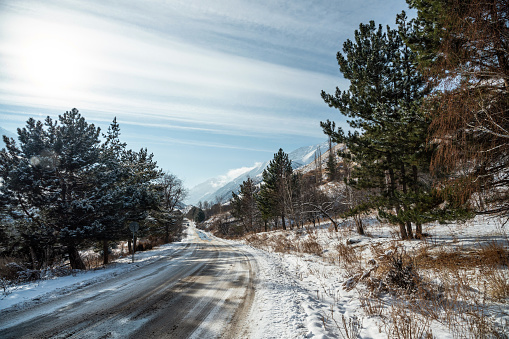 Dirt road through the snowcapped fir tree woodland in the mountains. Beautiful winter landscape.