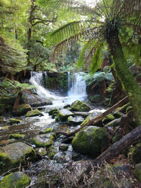 istock Rainforest Waterfall with Green Foliage Cover 1449283788