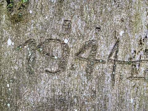 Year 1944, old sign carved in a beech tree.