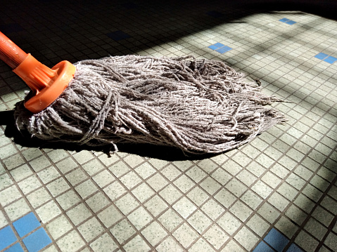 Penang, Malaysia. 

A house mop basking in the spotlight. Spotlight is actually sunlight. 
Tiled floor as background.