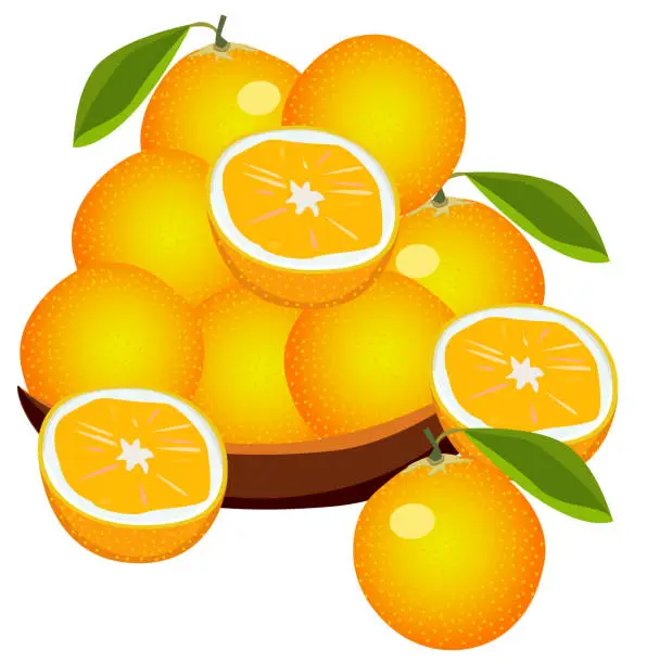 Vector illustration of orange fruits bowl