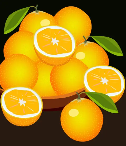 Vector illustration of orange fruits bowl