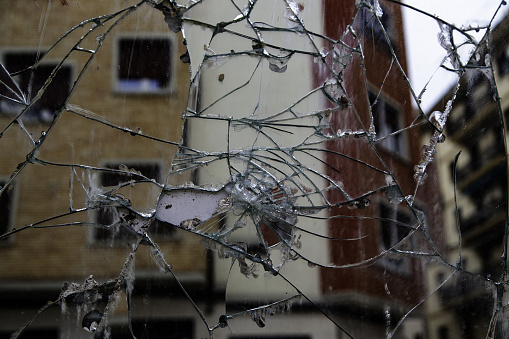 black and white photo of shattered pieces of a mirror on asphalt reflecting the trees above