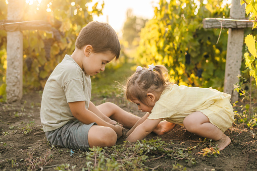 Two kids digging in soil and preparing soil for plant, sitting at sunset in the garden. Summer outdoor fun activity. Summer vacation fun. Agriculture concept. Happiness concept.