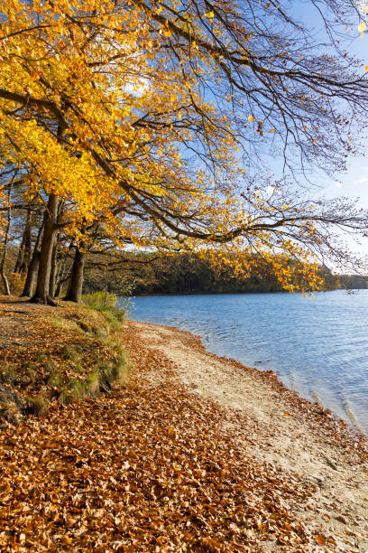 istock Vacations in Germany - sunny autumn day at the lake 1449302288
