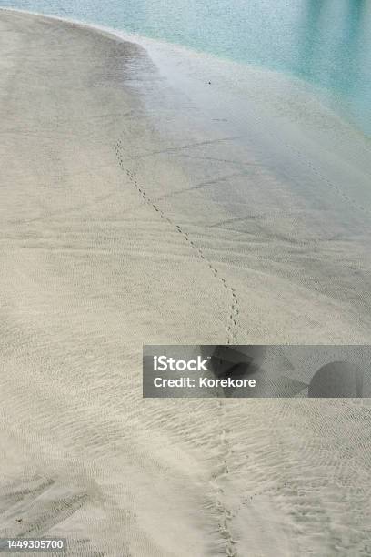 Footprints On The Seaside Kunian Beach Facing Enshunada From Shiosai Bridge Stock Photo - Download Image Now