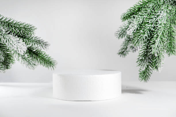 istock Creative christmas mock up empty podium or pedestal on christmas branch background, with cylinder stand concept, in the sun with hard shadows. Empty product shelf on background. 1449307867