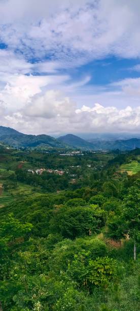 istock View of Puncak area in Indonesia 1449307874