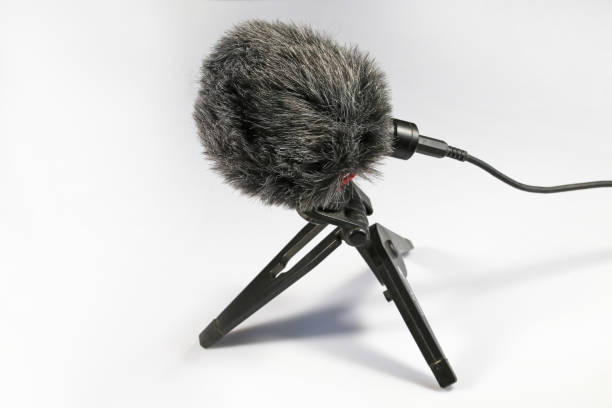 istock Microphone with wind protection on a plastic stand. Sound recording device. 1449313834