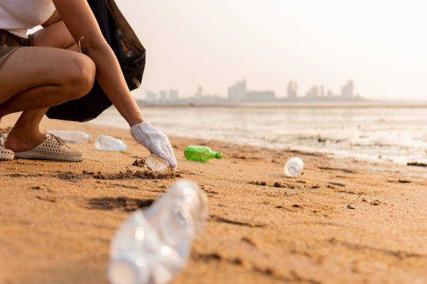 istock Volunteer woman picking plastic bottle into trash plastic bag black for cleaning the beach 1449315512