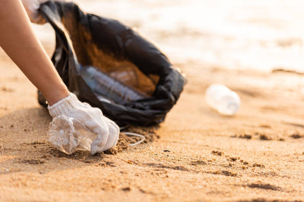 istock Volunteer woman picking plastic bottle into trash plastic bag black for cleaning the beach 1449315535