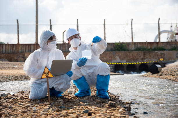 istock Ecologist sampling taken dead fish to inspaction and save data to laptop computer 1449316390