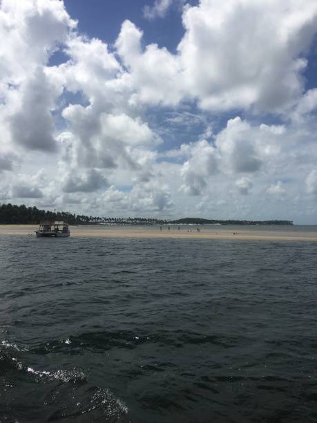 istock Porto de Galinhas beach 1449320283