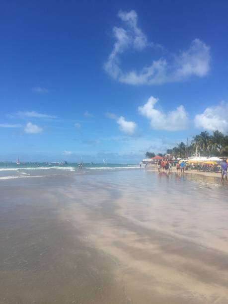 istock Porto de Galinhas beach 1449320725
