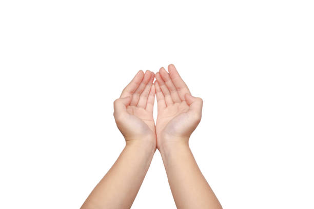 istock human hand holding technology isolated on white background 1449321270