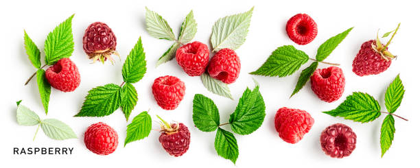 istock Raspberry fruits and leaves set on white background 1449324442