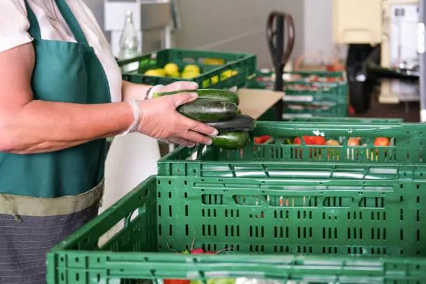 Food donation concept: Volunteer woman wearing gloves packs fruits and vegetables such as fresh zucchinis into green boxes for distribution to those in need and for the poor - selective focus