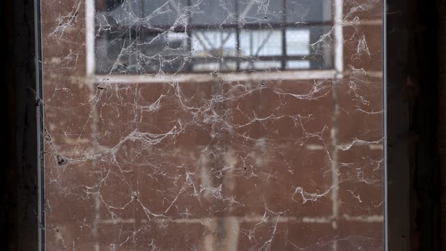 An old dirty window with cobwebs in an abandoned building.