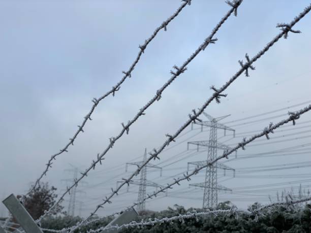 istock Frost crystals on the border fence 1449331384