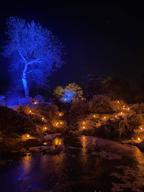 istock Christmas Light Show in Edinburgh Botanic Garden 1449332274