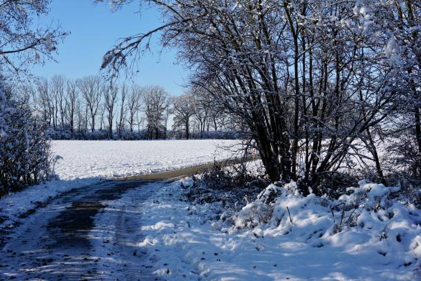 istock Walking paths in winter in the snow. Bavarian winter. A snow-covered walking path passing by forests and agricultural fields. A bright blue sky without clouds and a walking path in the snow. 1449337093