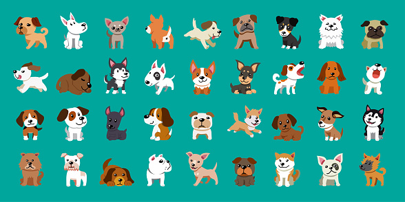 Different type of vector cartoon dogs for design.