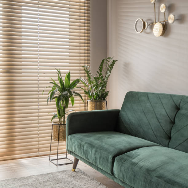 istock Cozy green sofa in elegant living room 1449340196