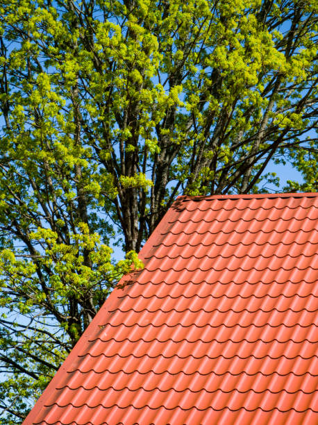 istock Red tiled roof. CLouds in blue sky. Green tree. Spring or summer nature. 1449341621