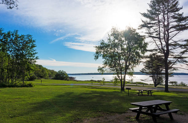 Park setting near the ocean in the early morning with picnic tables, trees and mowed grass Park setting near the ocean in the early morning with picnic tables, trees and mowed grass on the coast of Maine. natural parkland stock pictures, royalty-free photos & images