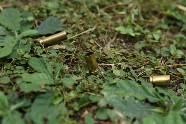istock Bullet casings in the bushes 1449343181