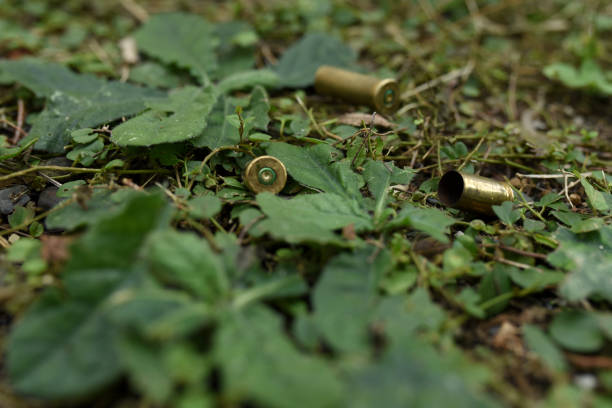 istock Bullet casings in the bushes 1449343801