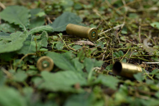 istock Bullet casings in the bushes 1449343802