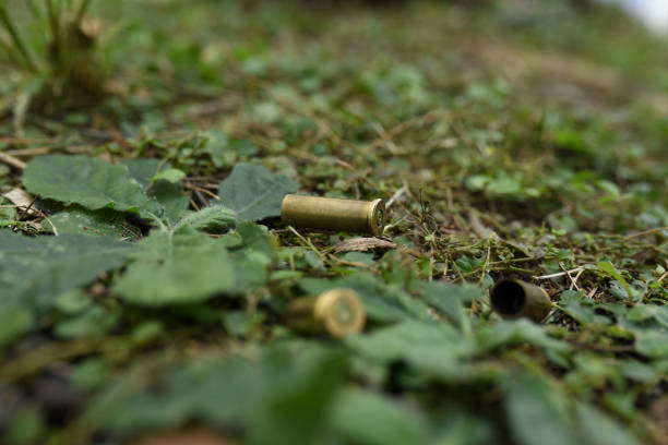 istock Bullet casings in the bushes 1449343803
