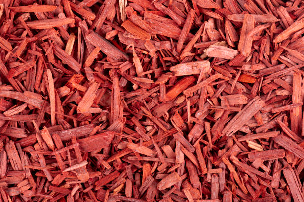 sfondo di scaglie di incenso in legno di sandalo rosso. sanderswood, rubywood o red saunders. vista dall'alto. - sandalwood foto e immagini stock